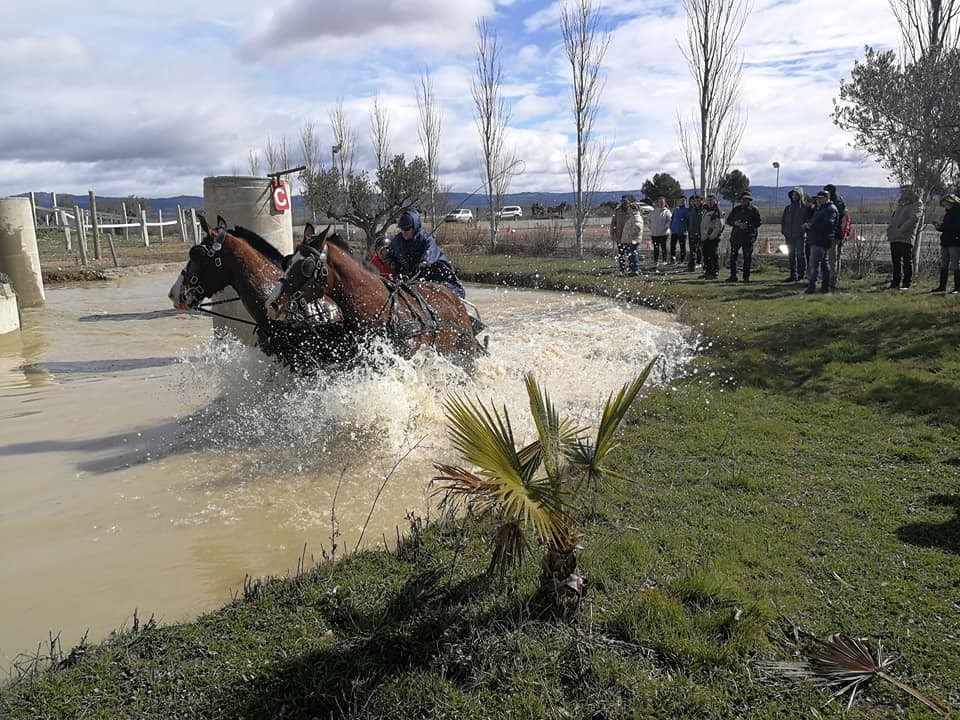 Resultados 1ª Fase del Campeonato Navarro de Enganches 2018 en el Club Deportivo Enganches Finca "La Pinturita"